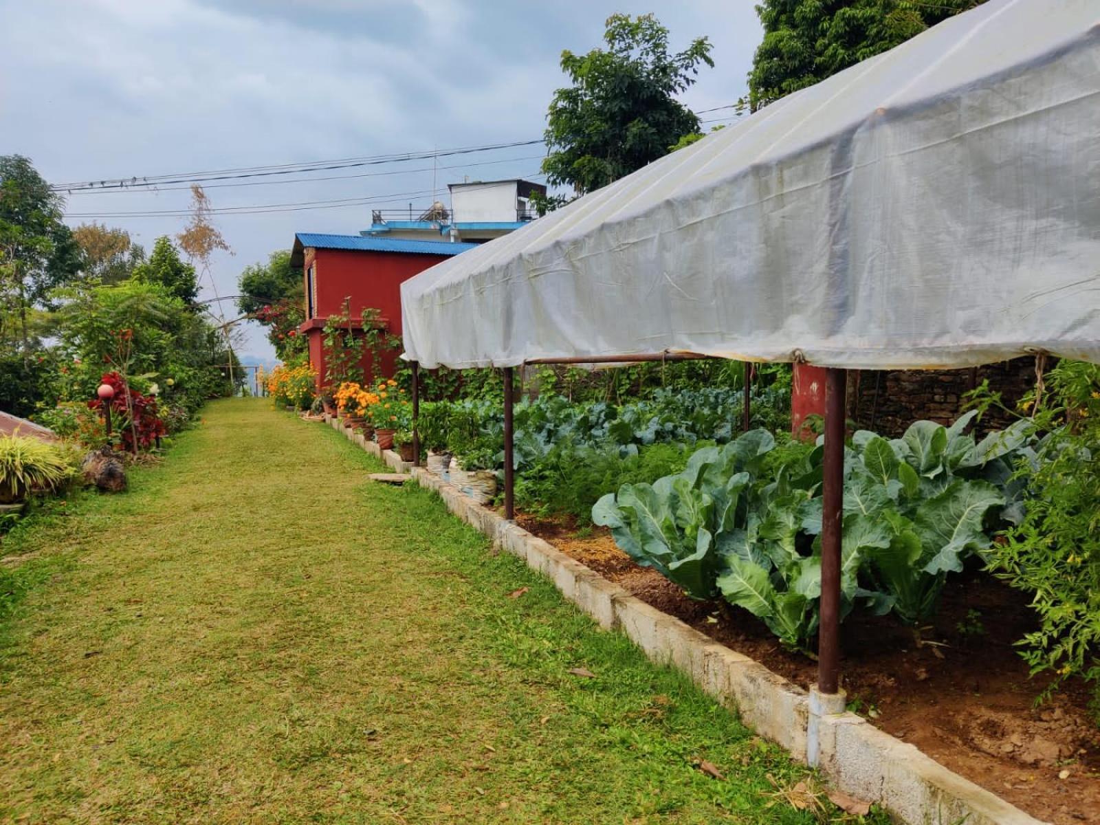 Himalaya Serene View Guest House & Farm Stay Deorali Luaran gambar