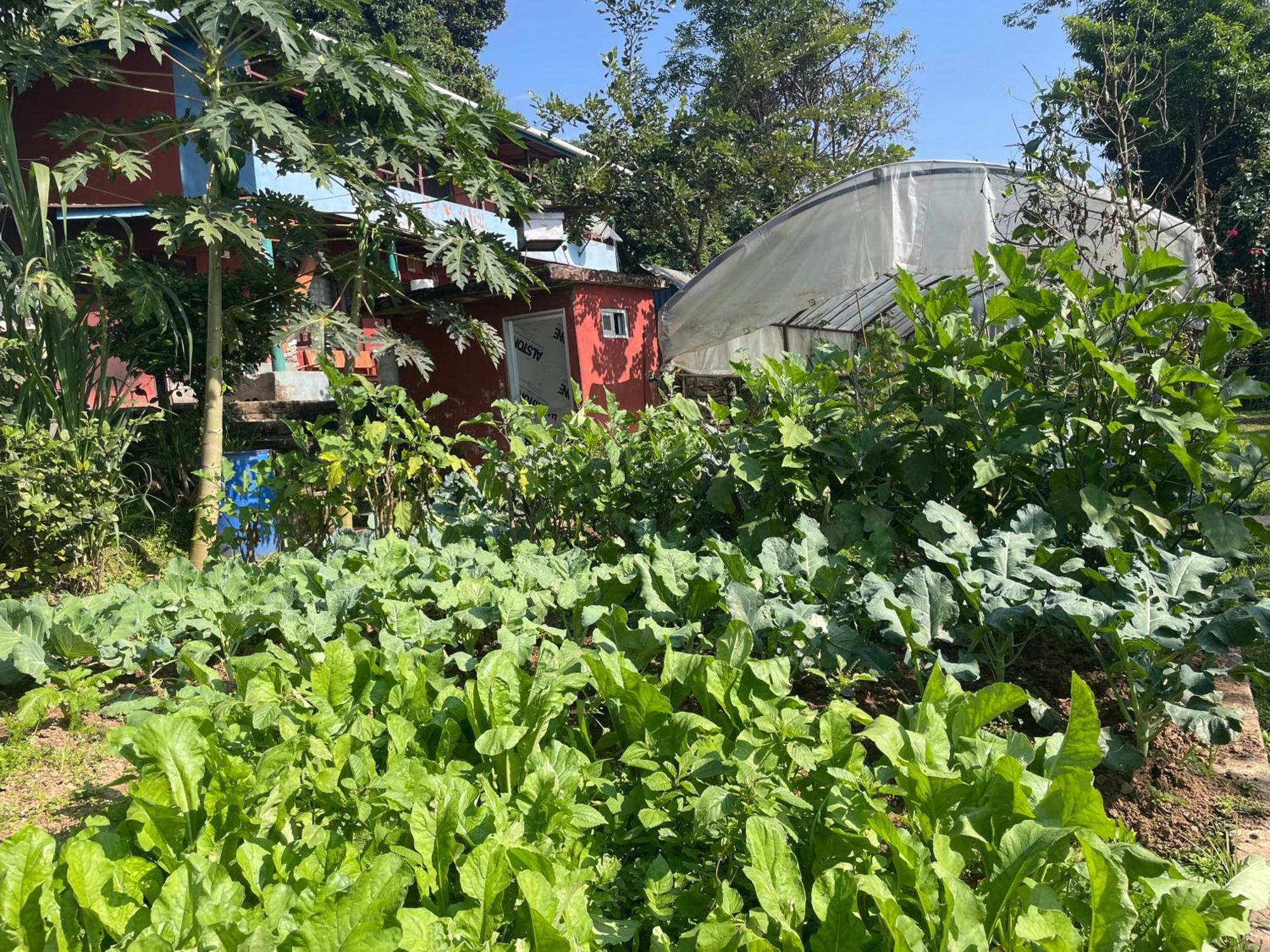 Himalaya Serene View Guest House & Farm Stay Deorali Luaran gambar