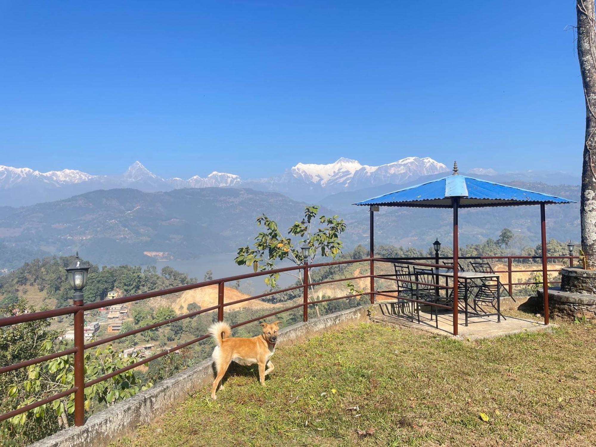 Himalaya Serene View Guest House & Farm Stay Deorali Luaran gambar