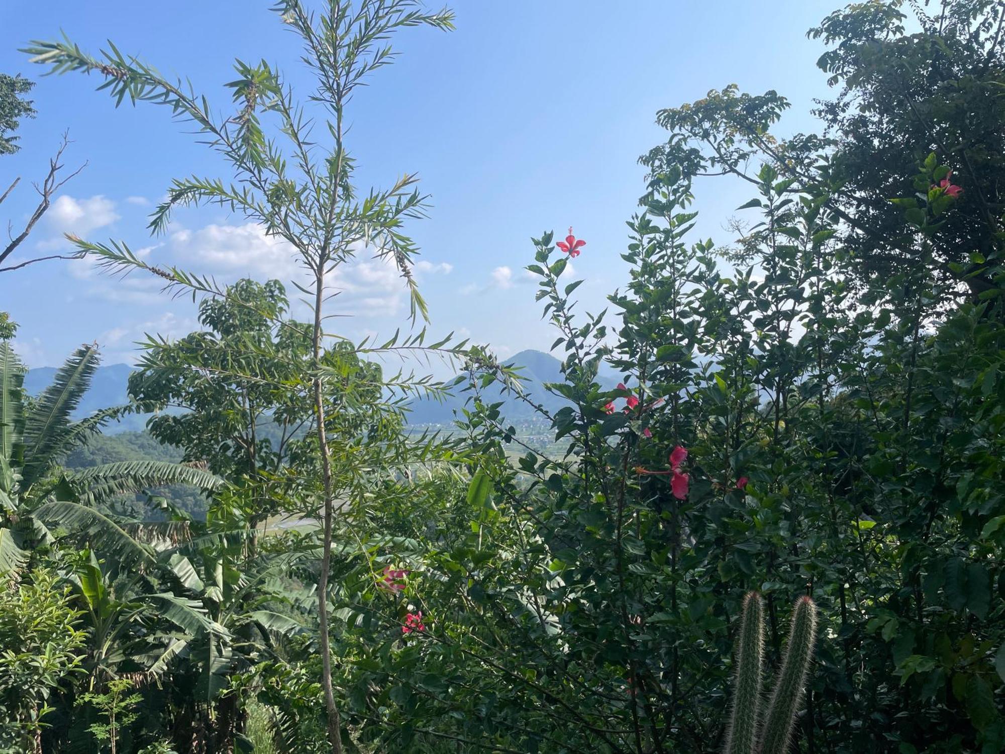 Himalaya Serene View Guest House & Farm Stay Deorali Luaran gambar