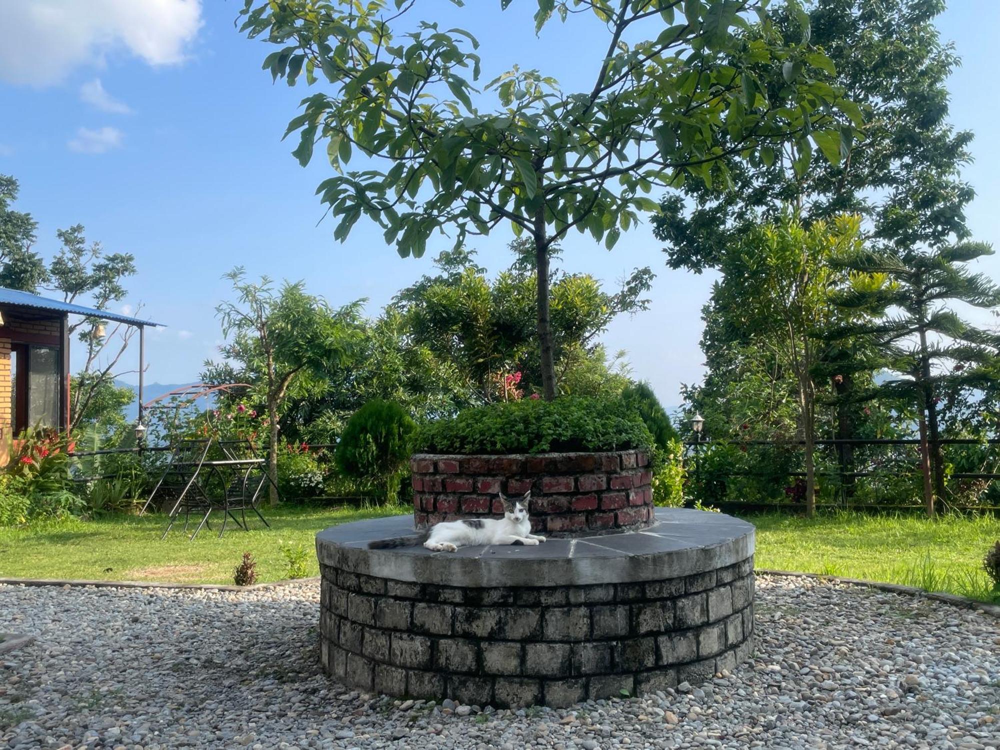 Himalaya Serene View Guest House & Farm Stay Deorali Luaran gambar